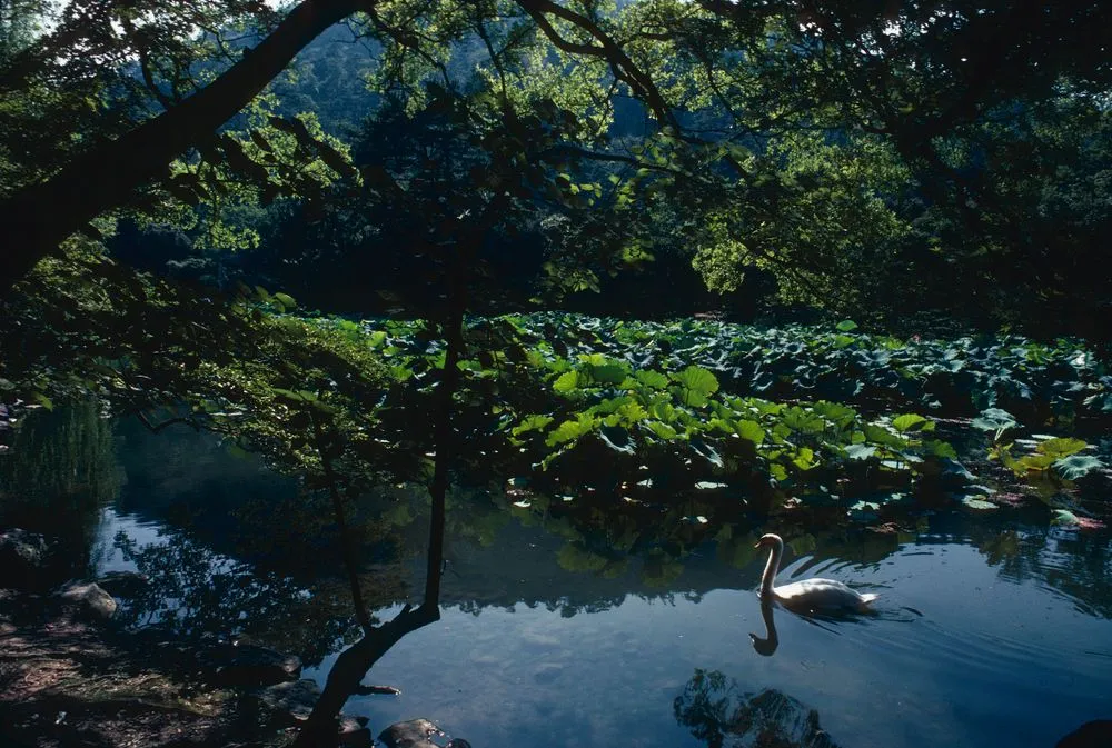 Japan series: Ritsurin Park, Takamatsu