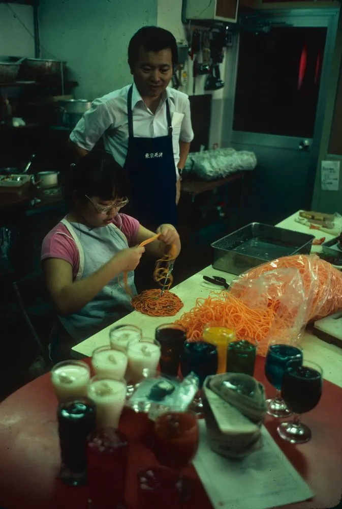 Japan series: plastic food