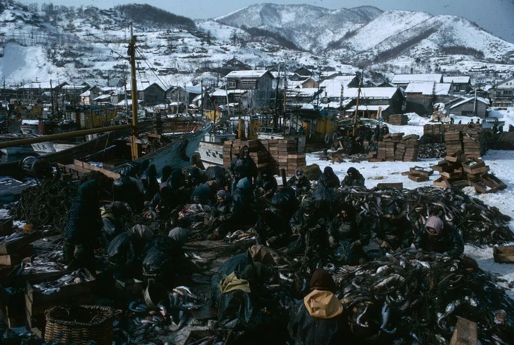 Japan series: Furubira port