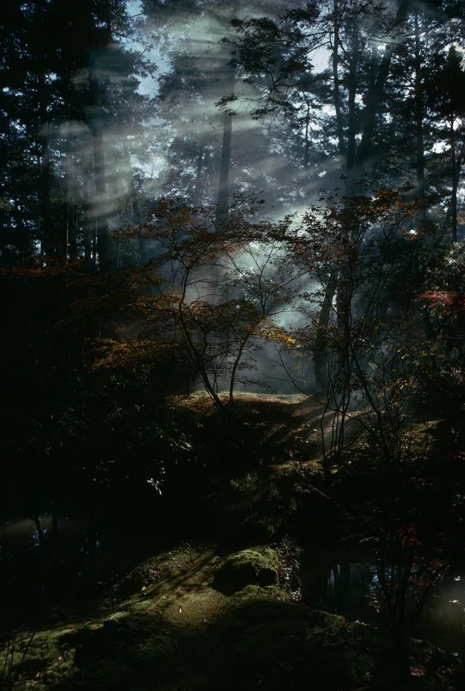 Japan series: Kokedera, Kyoto