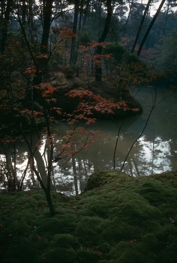 Japan series: Kokedera