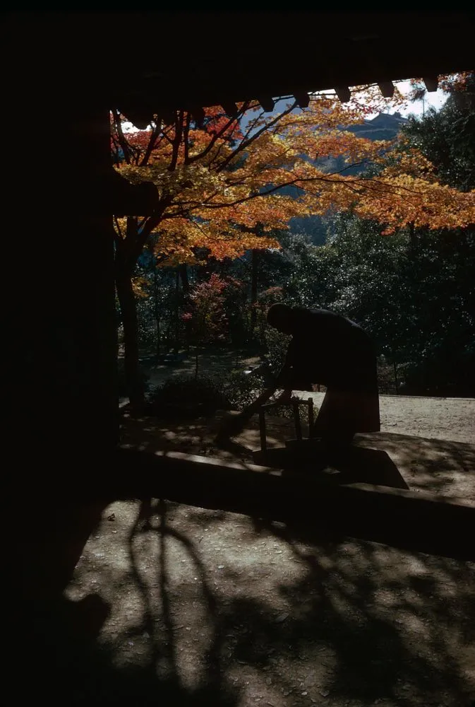 Japan series: Jingo-ji Temple