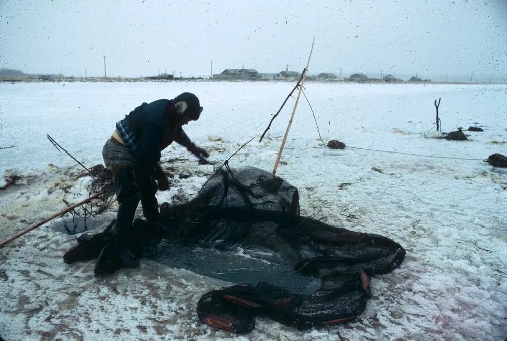 Japan series: Nemuro