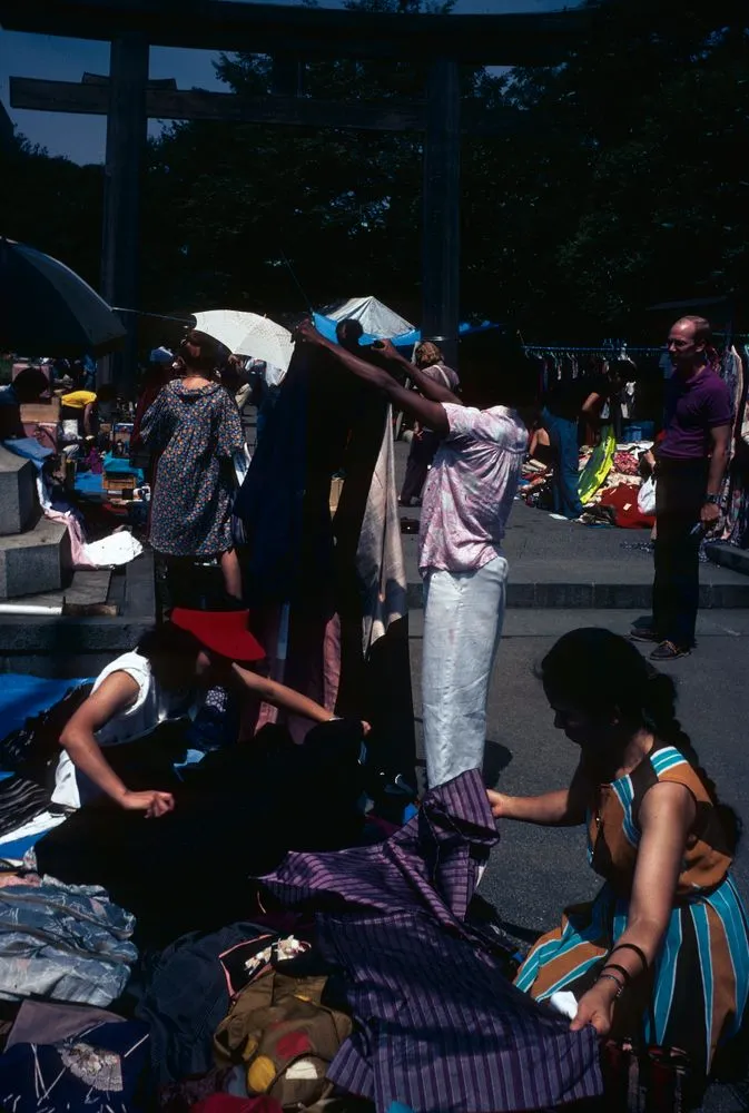 Japan series: market
