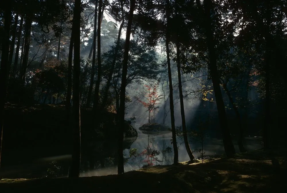 Japan series: Kokedera Saihoji garden