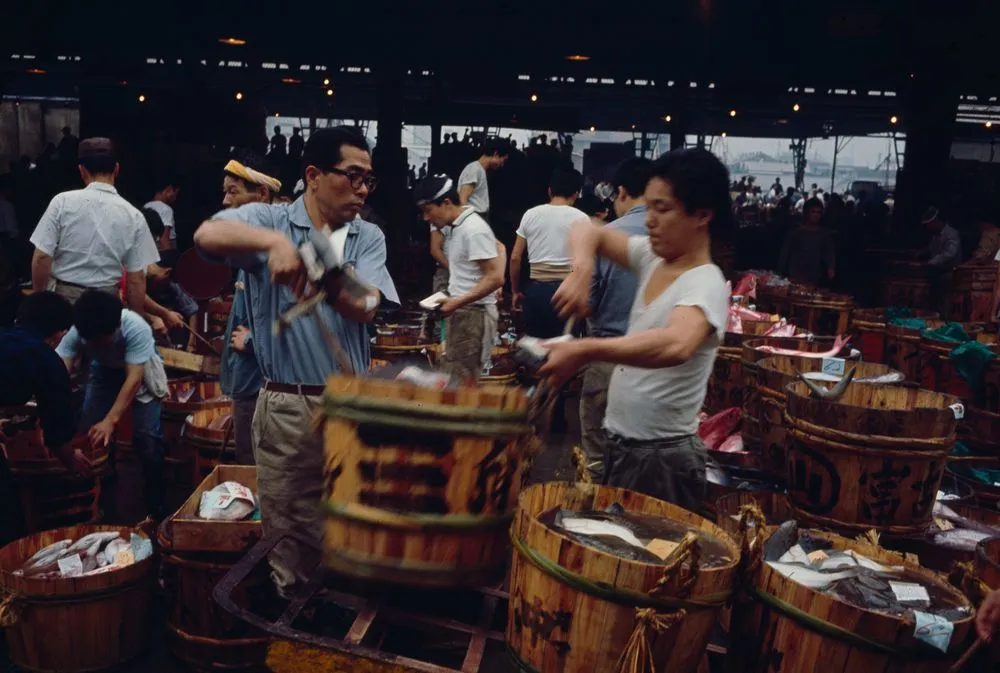 Japan series: Tokyo fish market