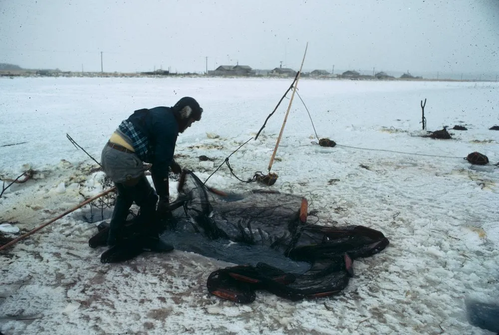 Japan series: winter fishing