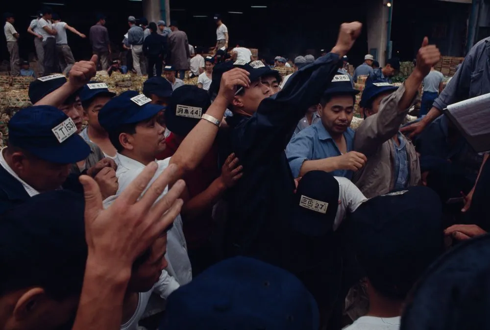 Japan series: Tokyo fish market