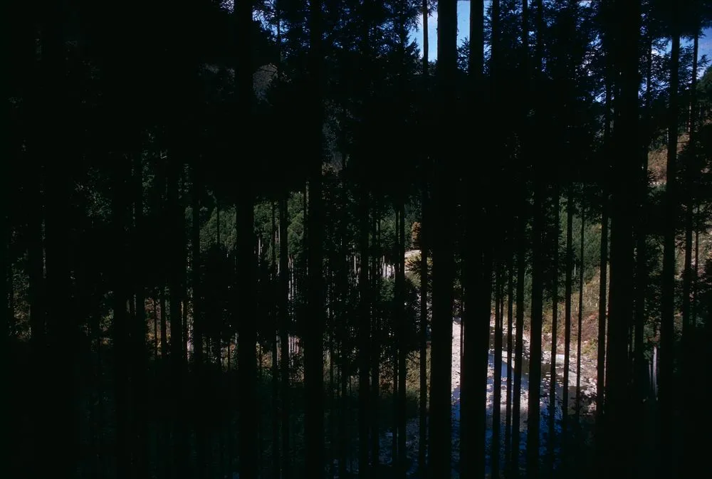 Japan series: near Takao