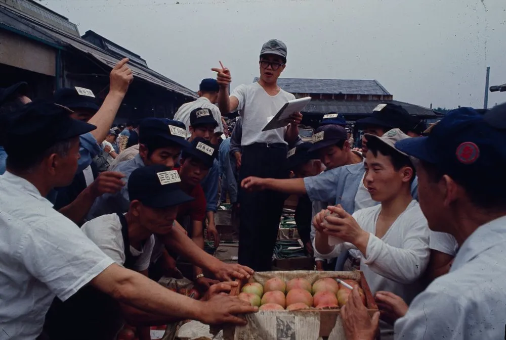 Japan series: Tokyo fish market