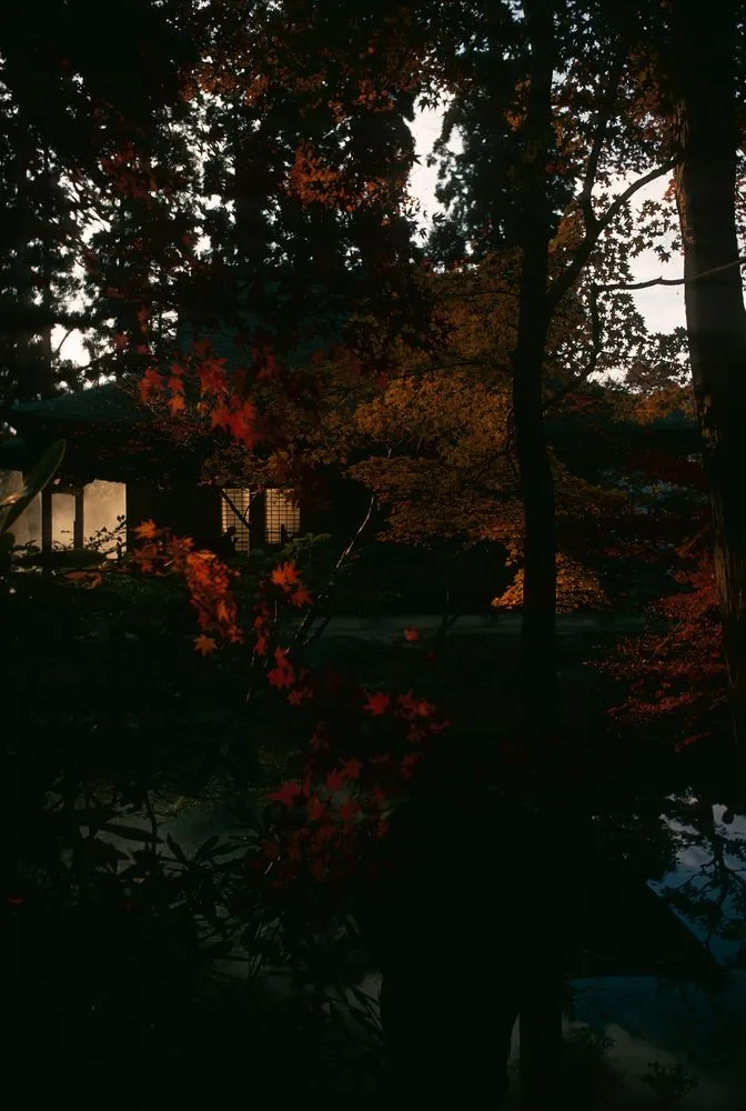 Japan series: Sanzen-in, Kyoto