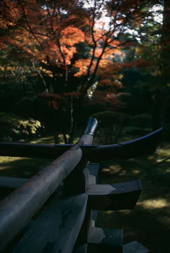 Japan series: Sanzen-in, Kyoto