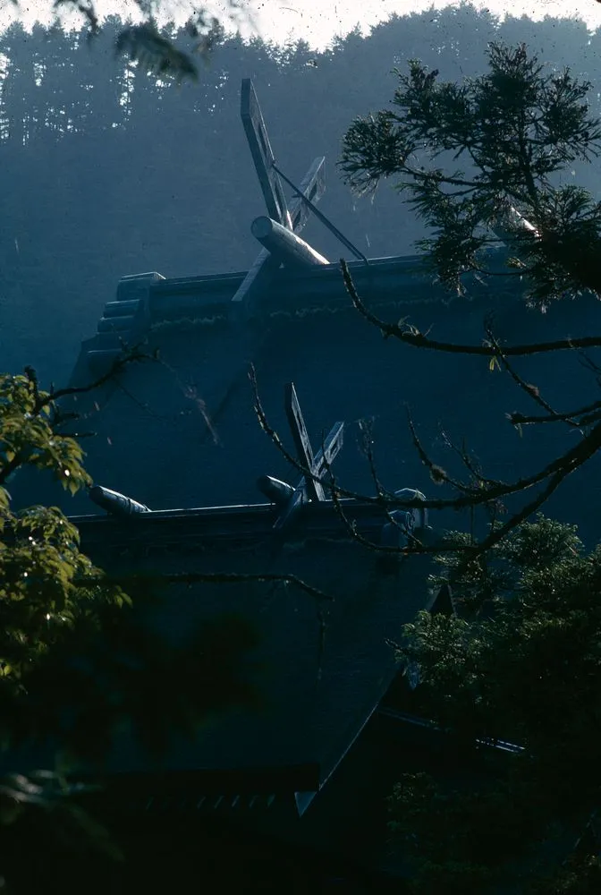 Japan series: Izumo Shrine