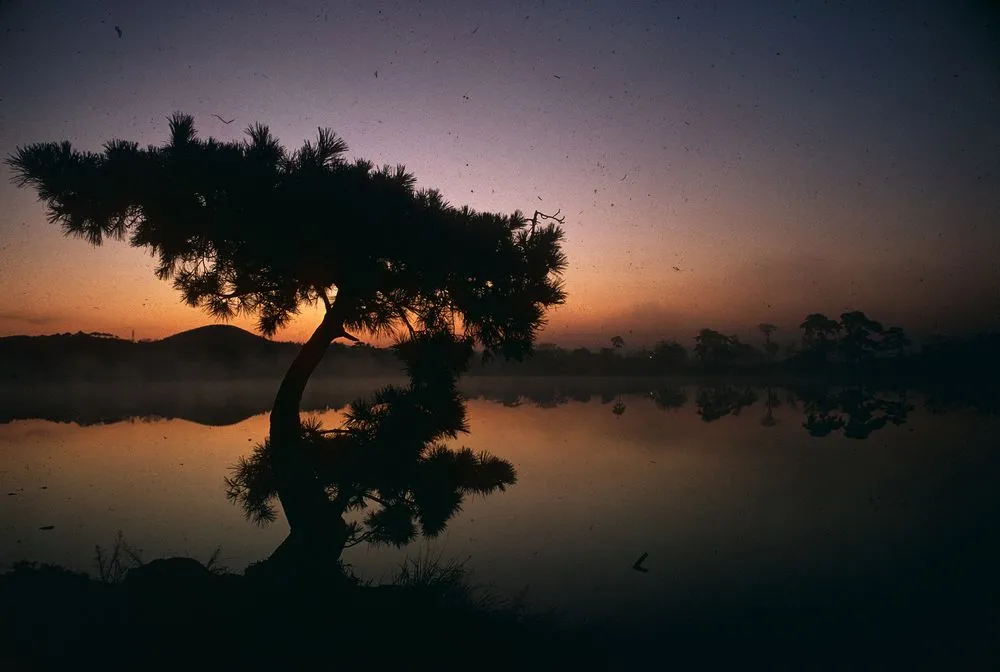 Japan Series: Hirosawaike Pond