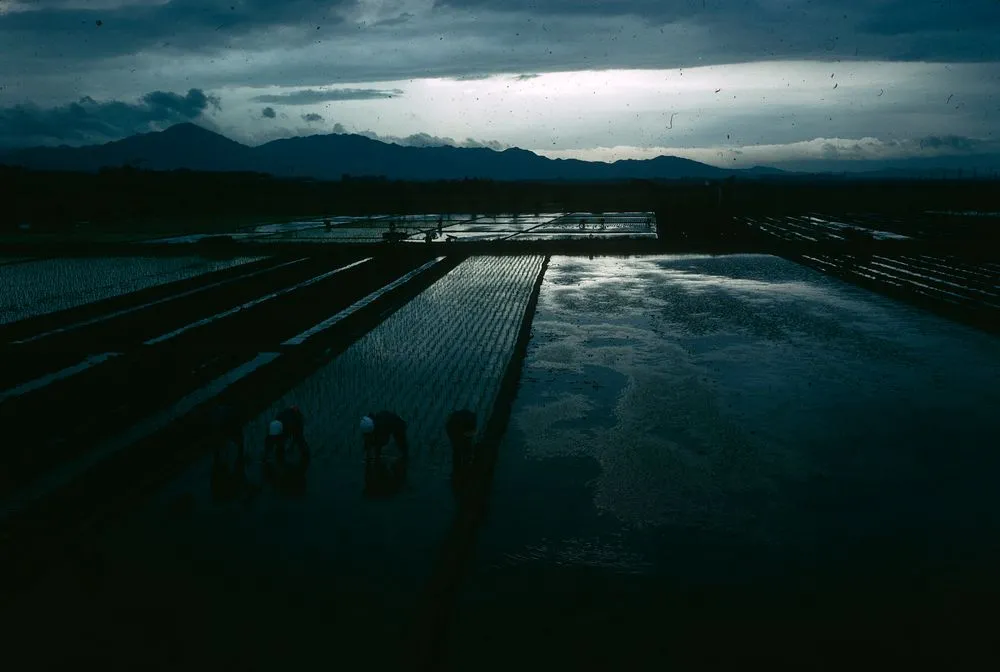 Japan Series: Landscape