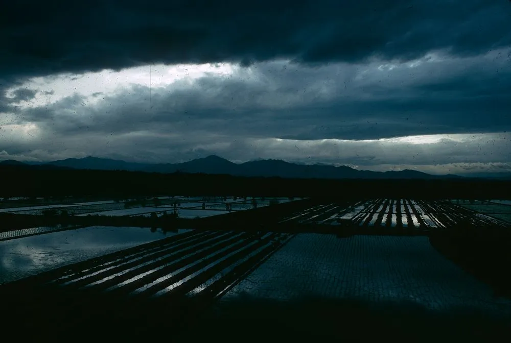 Japan Series: Landscape