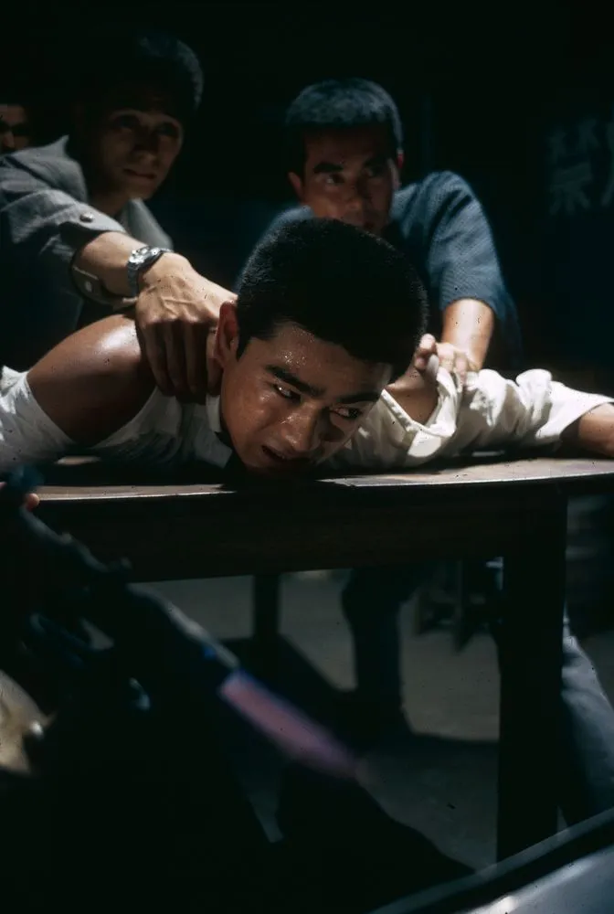 Japan Series: Movies