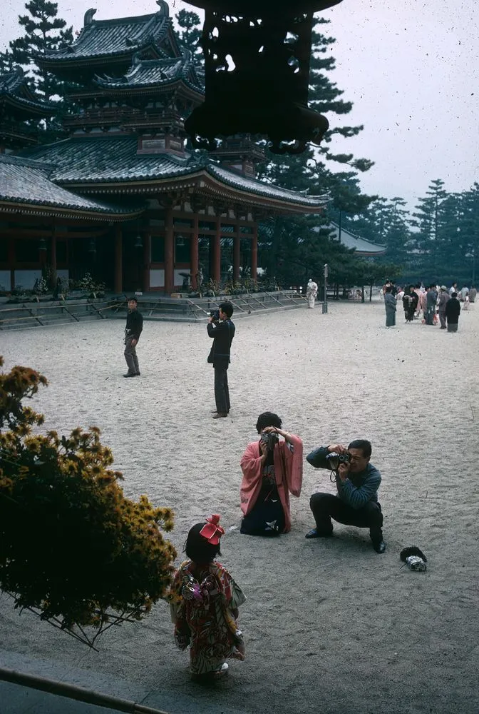 Japan Series: Shichigosan Festival