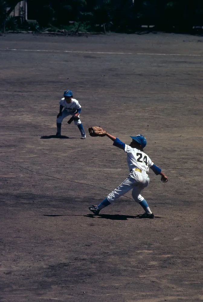 Japan Series: Baseball Game
