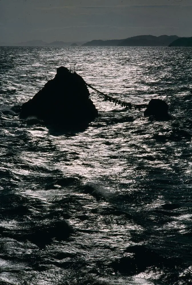 Japan Series: Coastal Outcrop