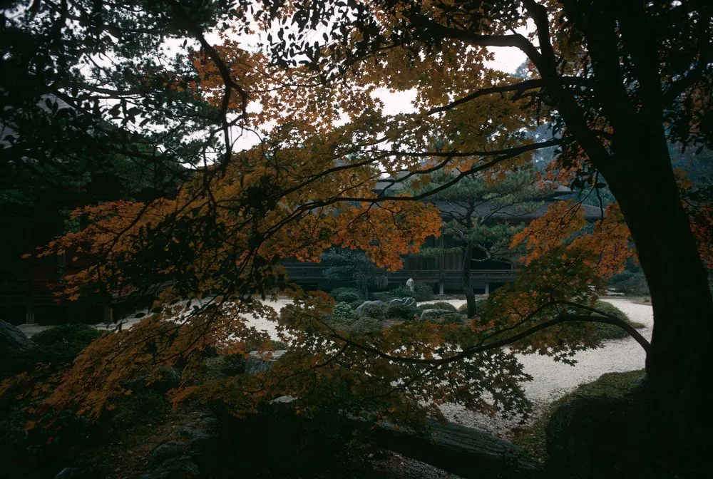 Japan Series: Manshu-in