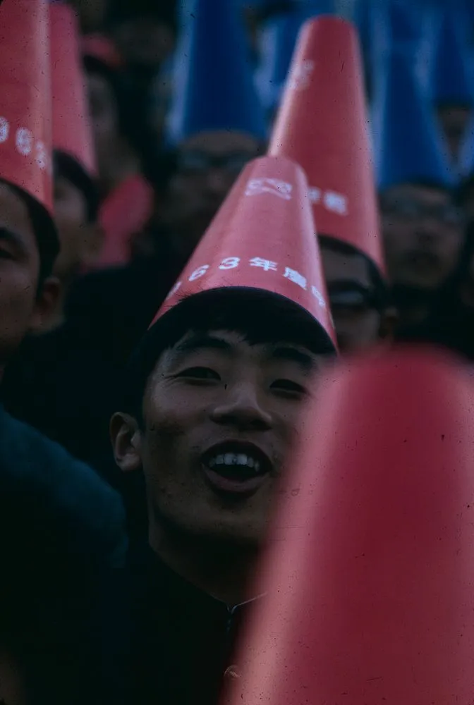 Japan Series: Tokyo Baseball