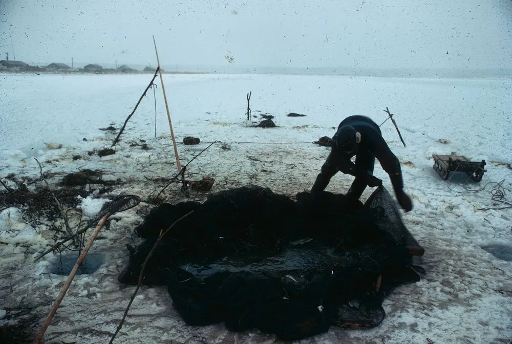 Japan Series: Numero