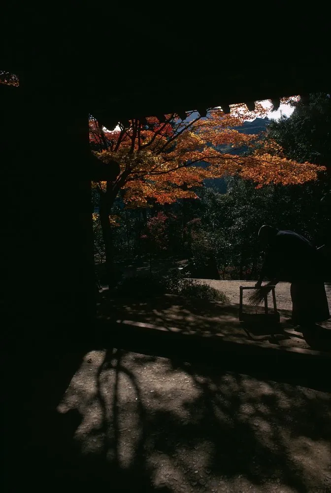 Japan Series: Jingo-ji