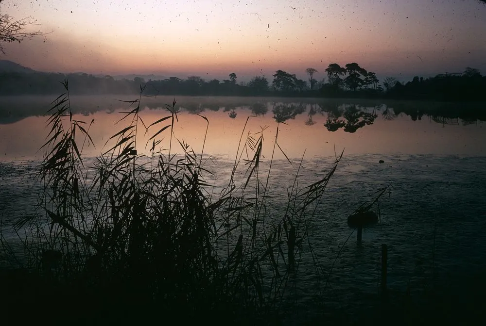 Japan Series: Hirosawake Pond