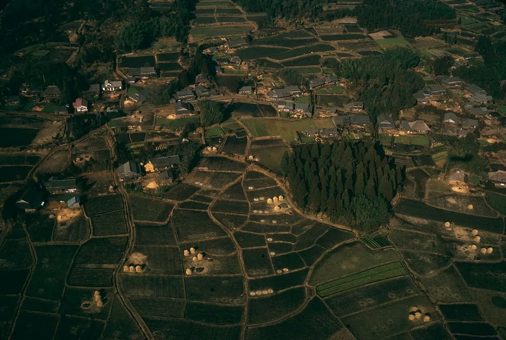 Japan Series: Landscape