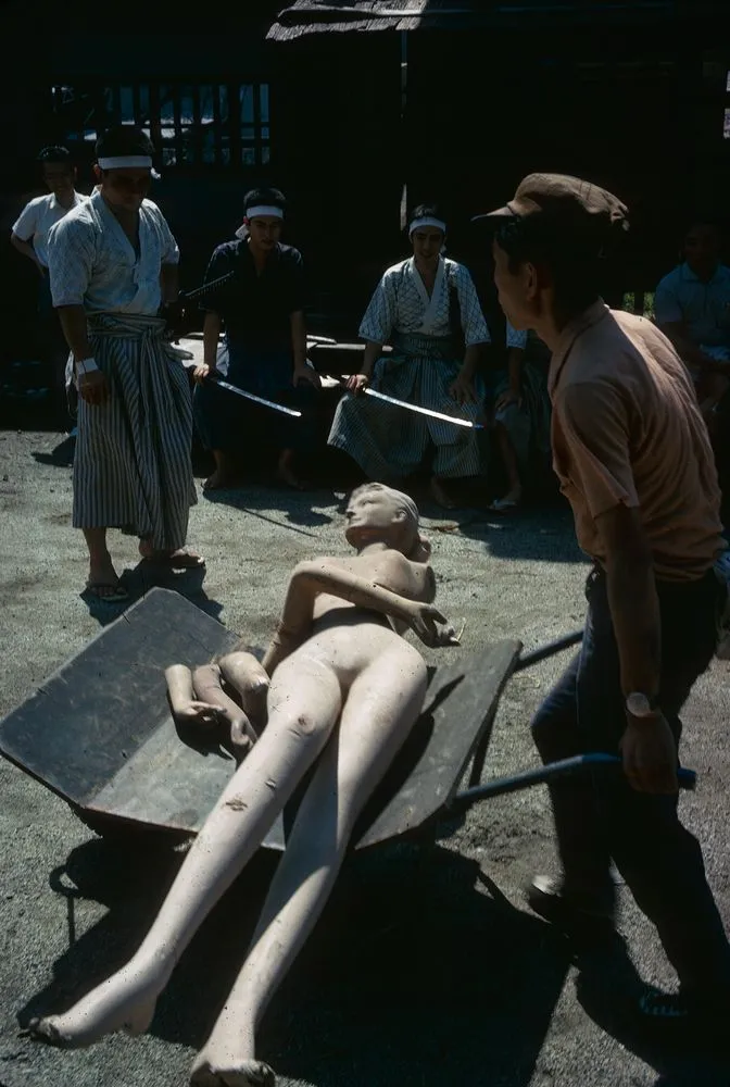 Japan Series: Movies