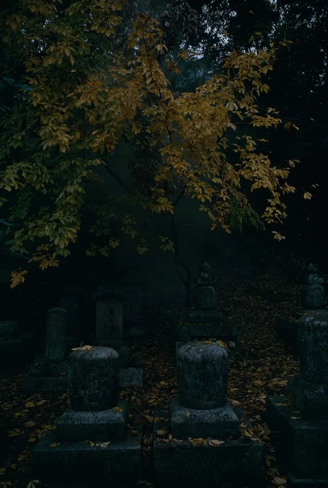 Japan Series: Cemetery