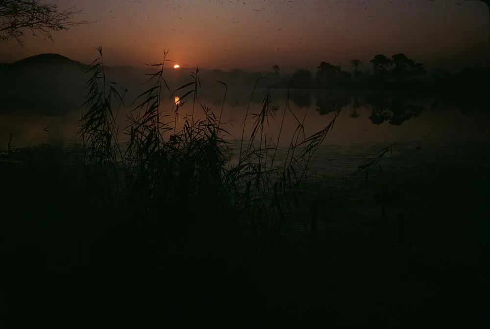 Japan Series: Sunset