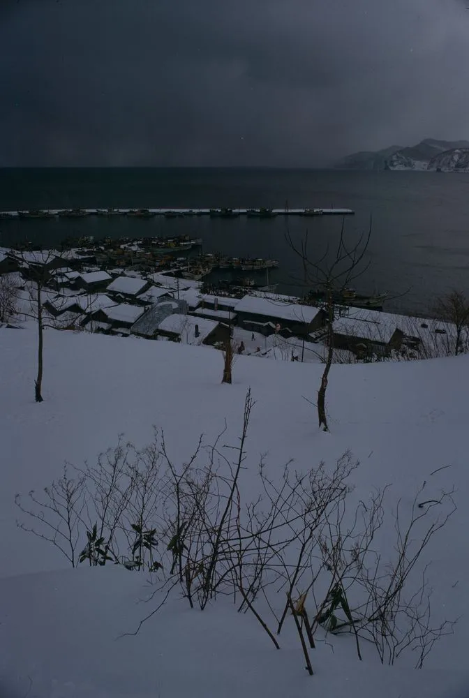 Japan Series: Snow-Covered Landscape