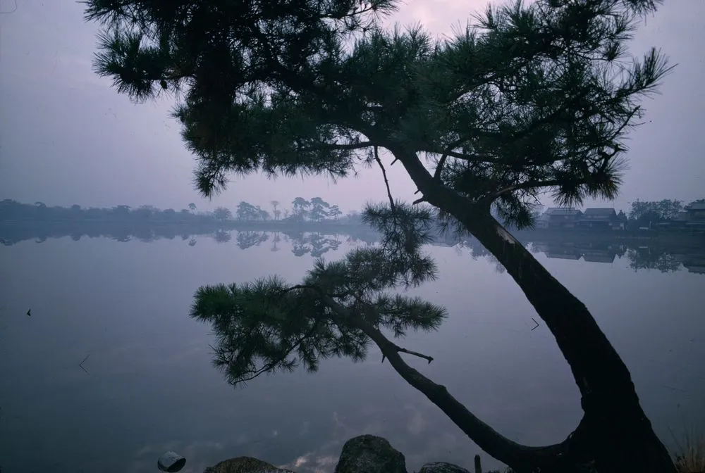 Japan Series: Lake