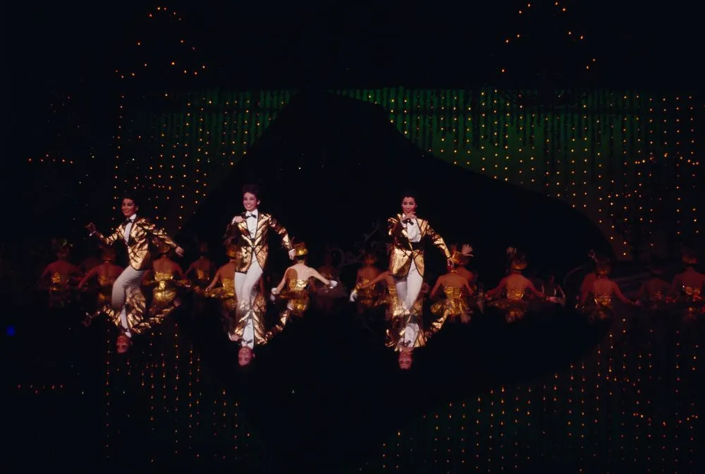 Japan Series: Stage Show