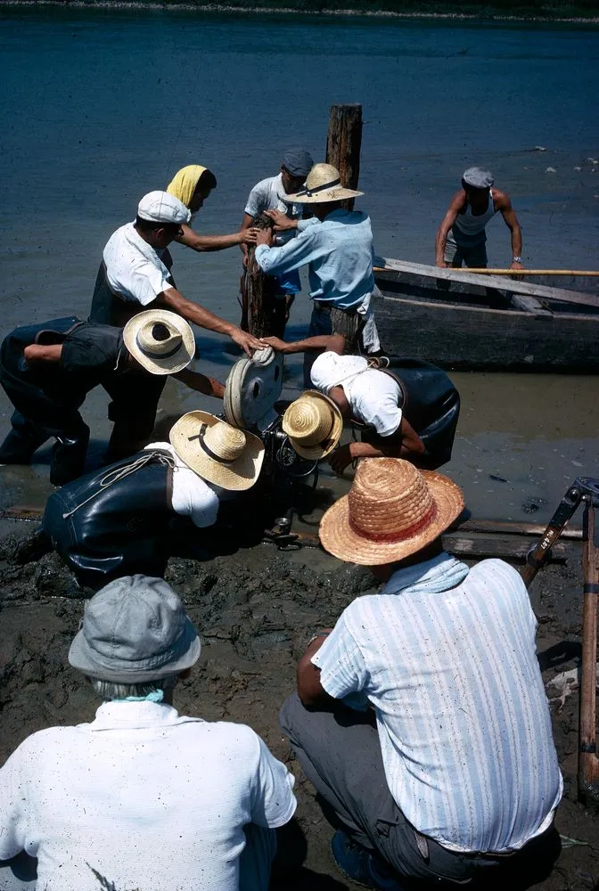 Japan Series: Movies Location