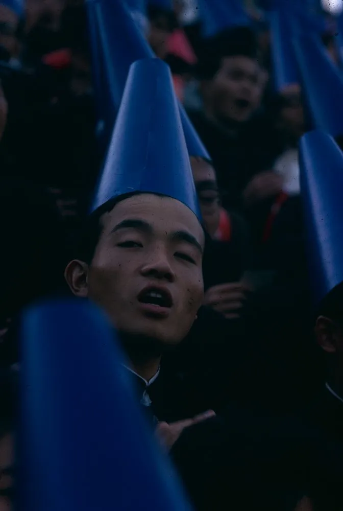 Japan Series: Tokyo Baseball