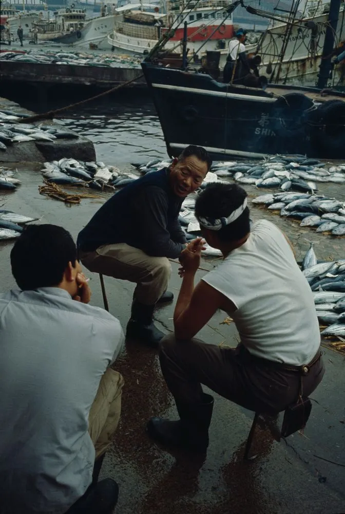 Japan Series: Tokyo Fish Market