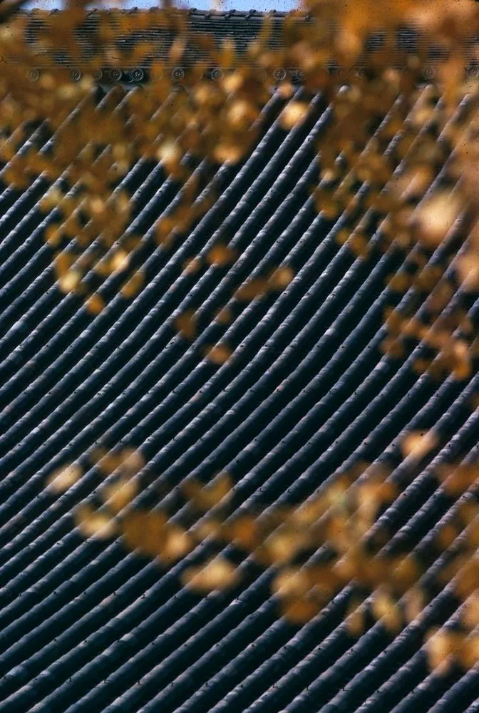 Japan Series: Nishi Hongan-ji