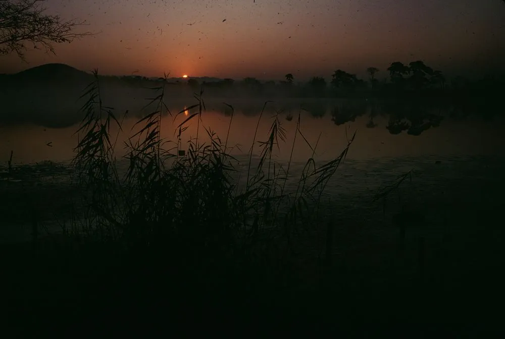 Japan Series: Hirosawake Pond