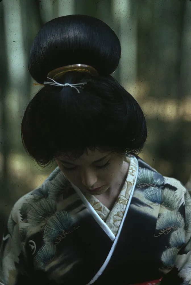 Japan Series: Movie Industries