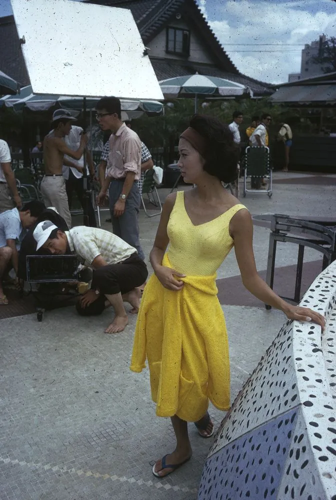 Japan Series: Movie Industries