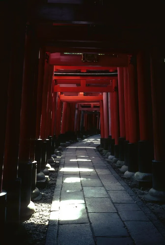 Japan Series: Arched Pathway