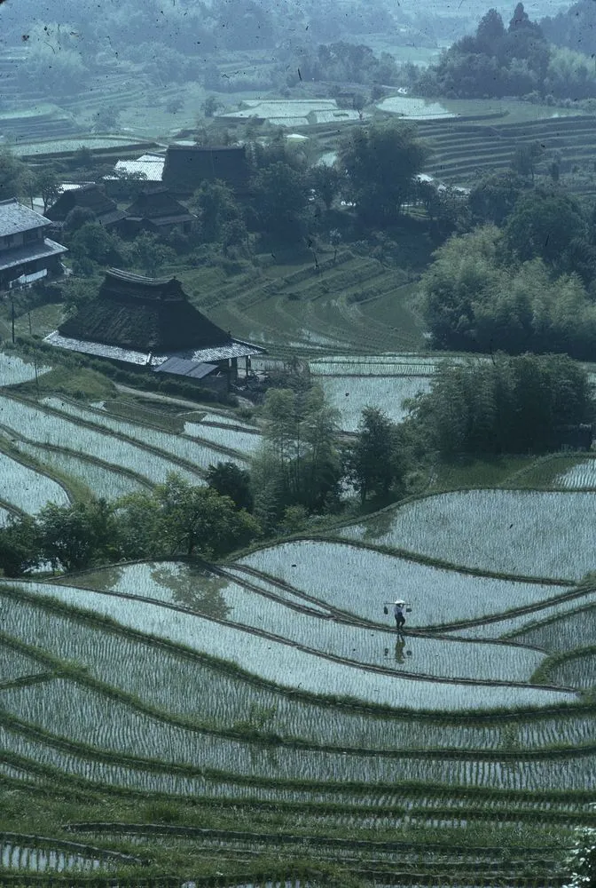 Japan Series: Landscape