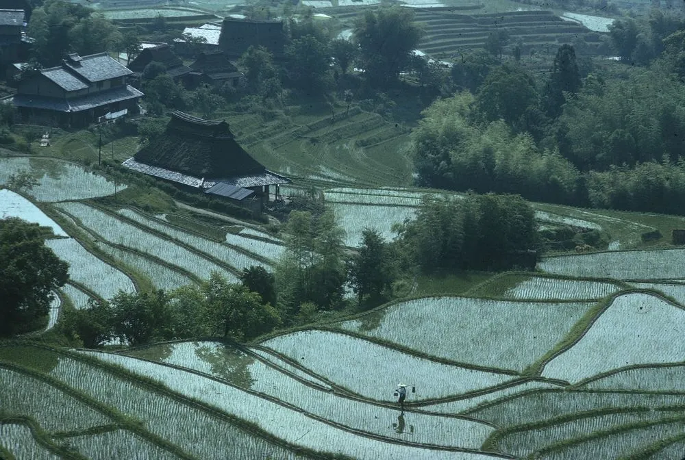 Japan Series: Landscape