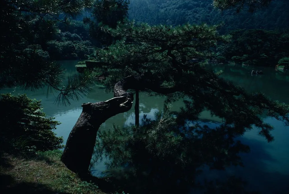 Japan Series: Ritsurin Park and Garden