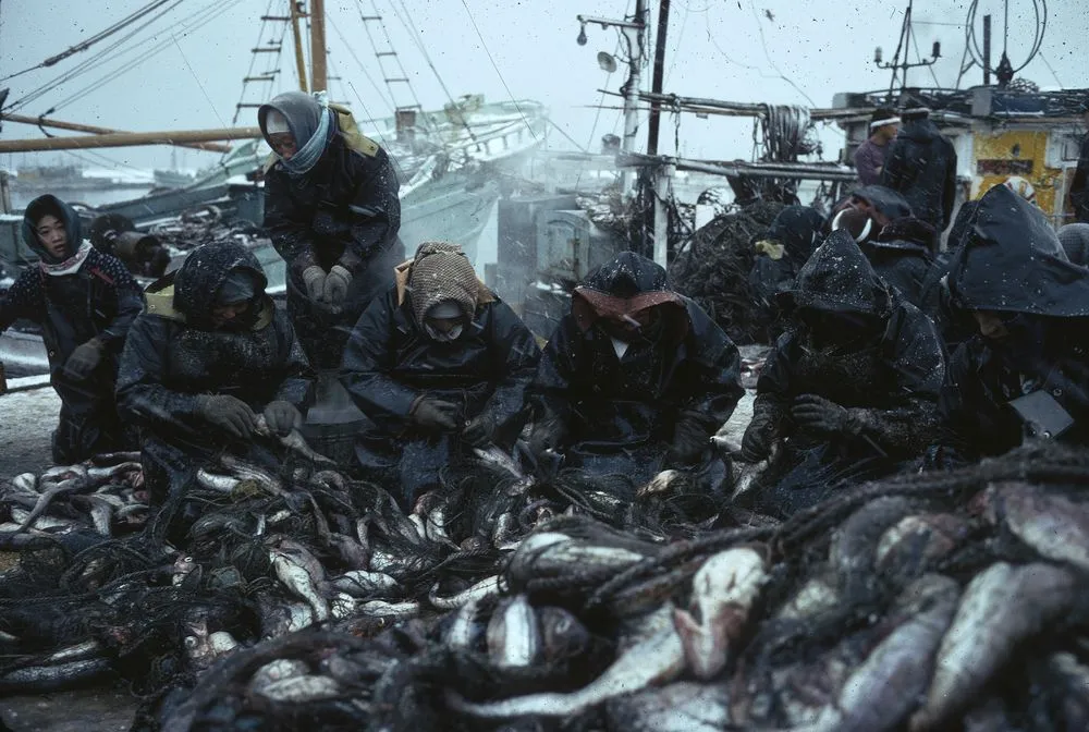 Japan Series: Furubira Port.