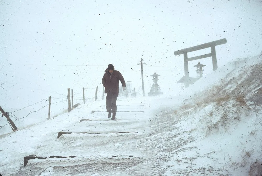 Japan Series: Snow Storm