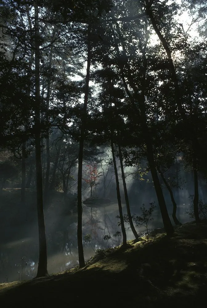 Japan Series: Morning Mists